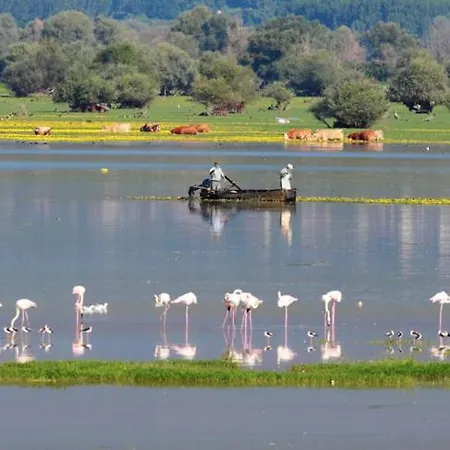 Apartman No2 Széresz