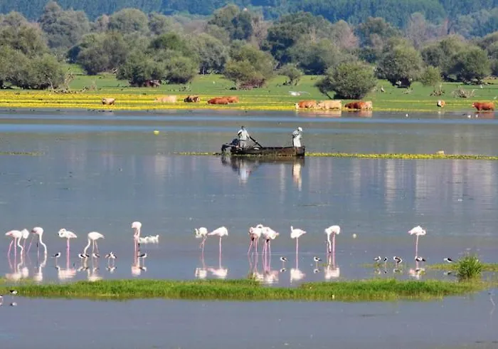 Apartman No2 Széresz